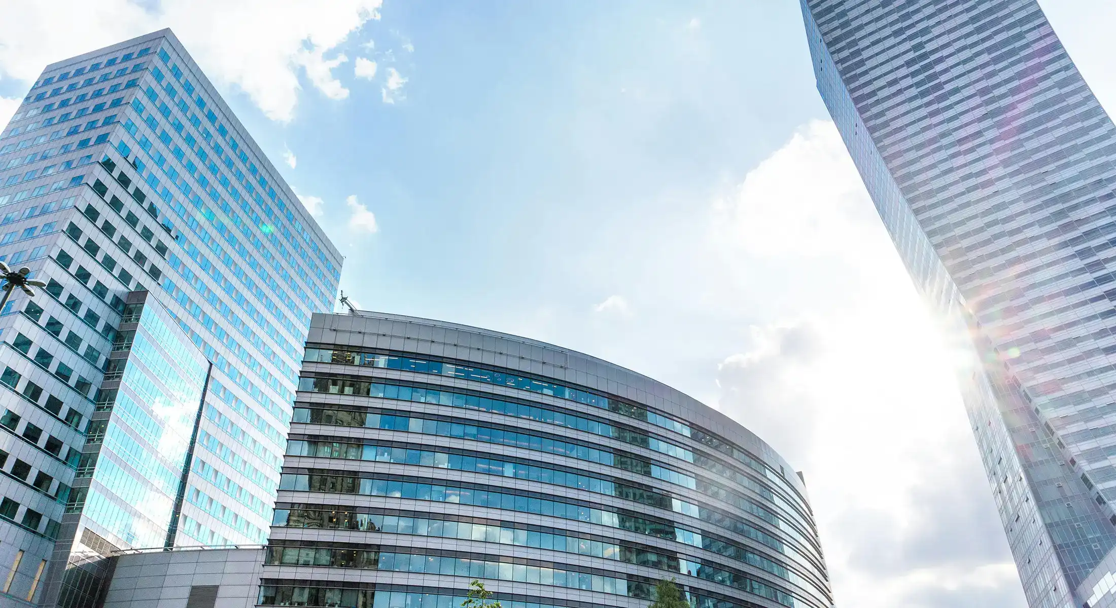 Real Estate Law
